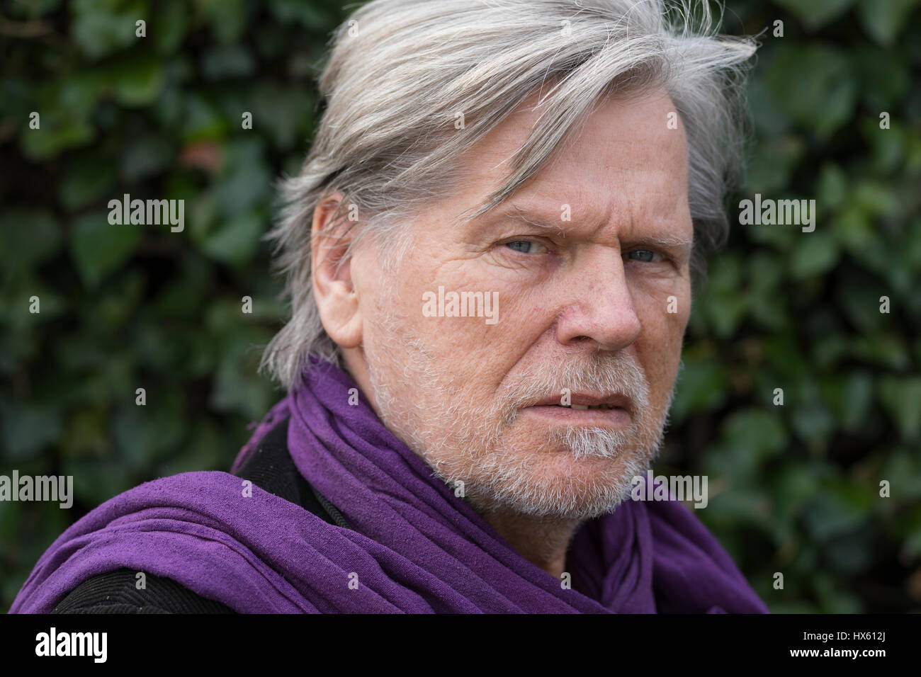 Old man grey beard glasses hi-res stock photography and images - Alamy