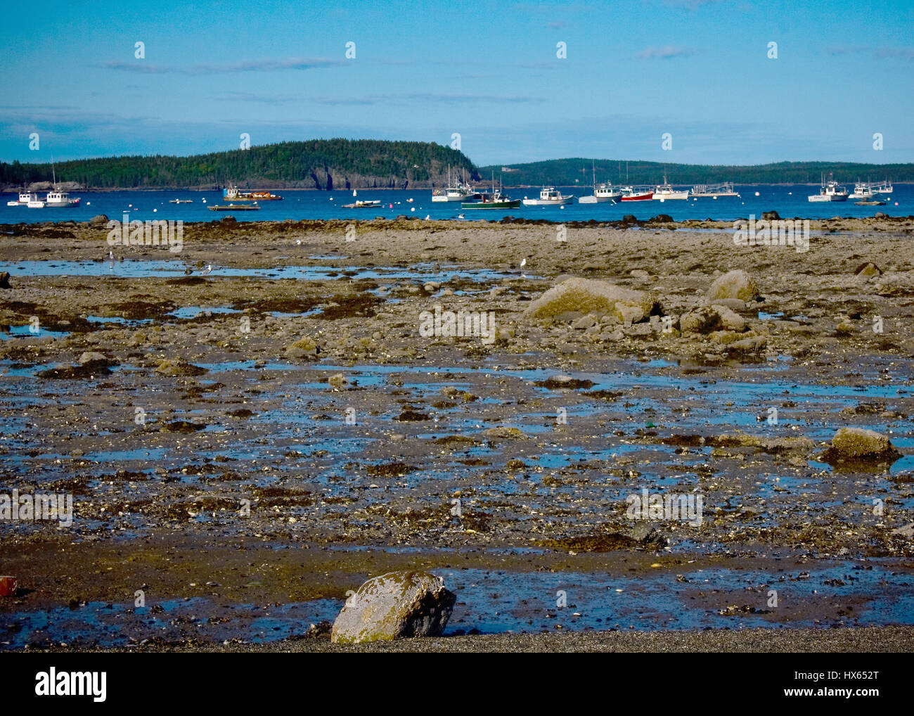 Bar harbor maine and boats hires stock photography and images Alamy