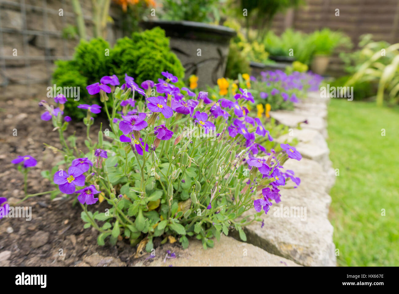 Plants for displays hi-res stock photography and images - Alamy