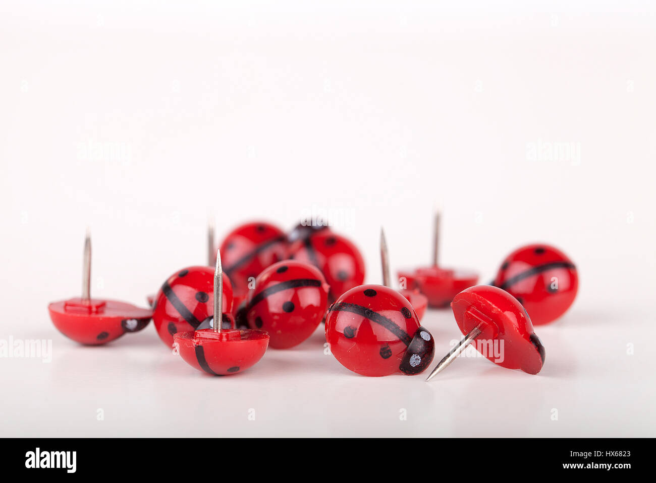 Red ladybug pushpin on a white surface. Ladybird thumbtacks isolated on white background. Stock Photo