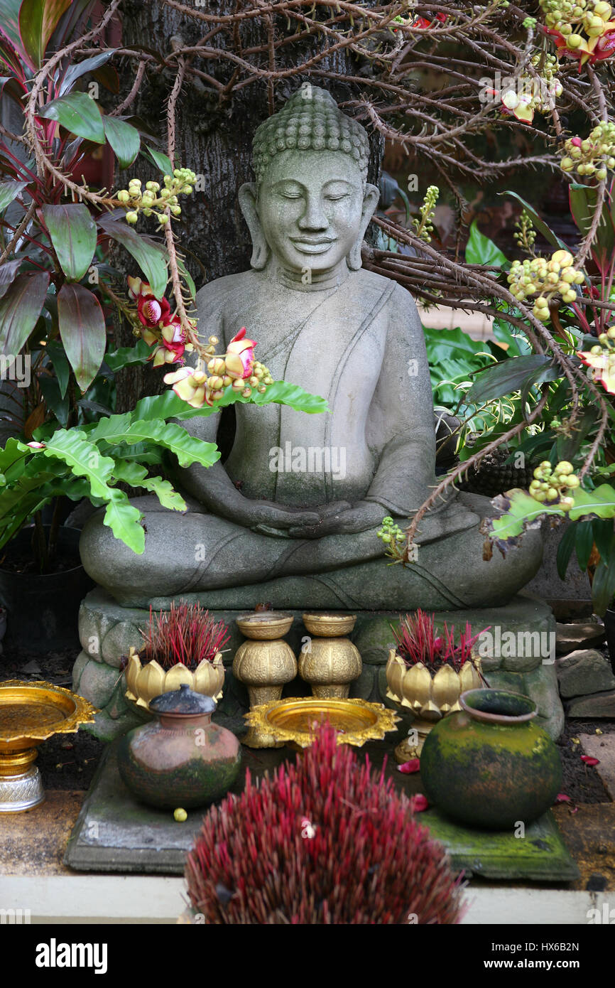 Buddhist shrine under the Buddha Tree, Silver Pagoda, Phnom Penh, Cambodia Stock Photo
