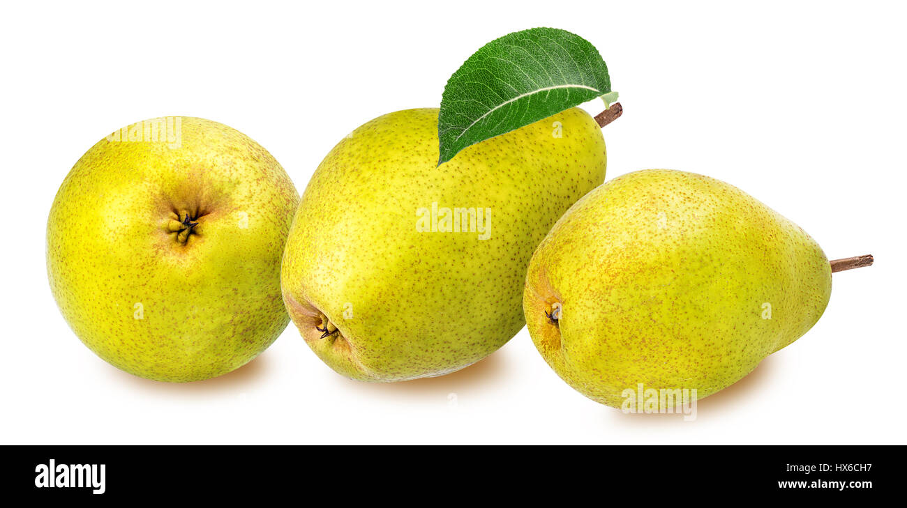 Comice Pear Stock Photo - Download Image Now - Pear, White Background,  White Color - iStock