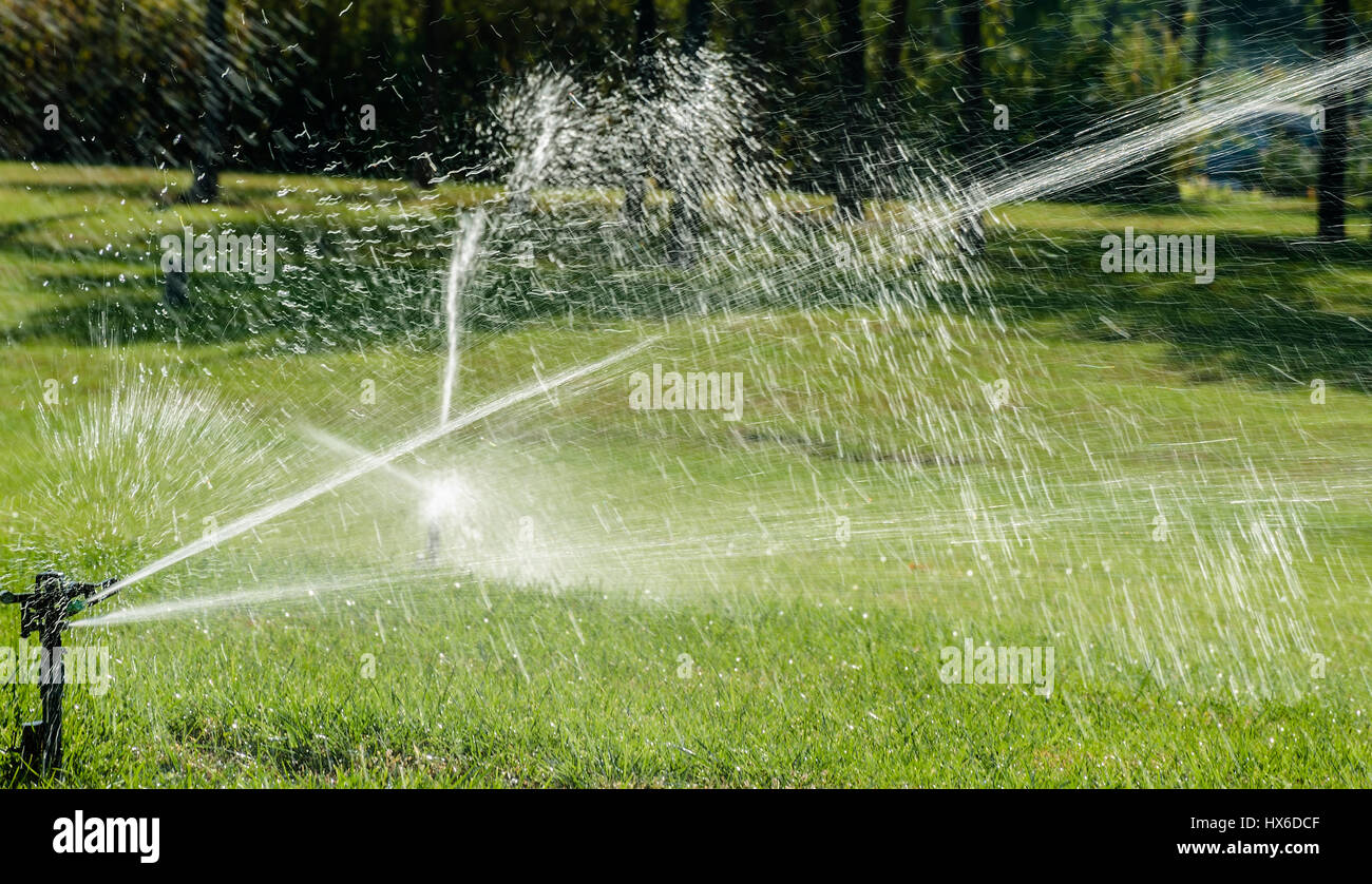 Grass sprinkler is working on the meadow Stock Photo Alamy