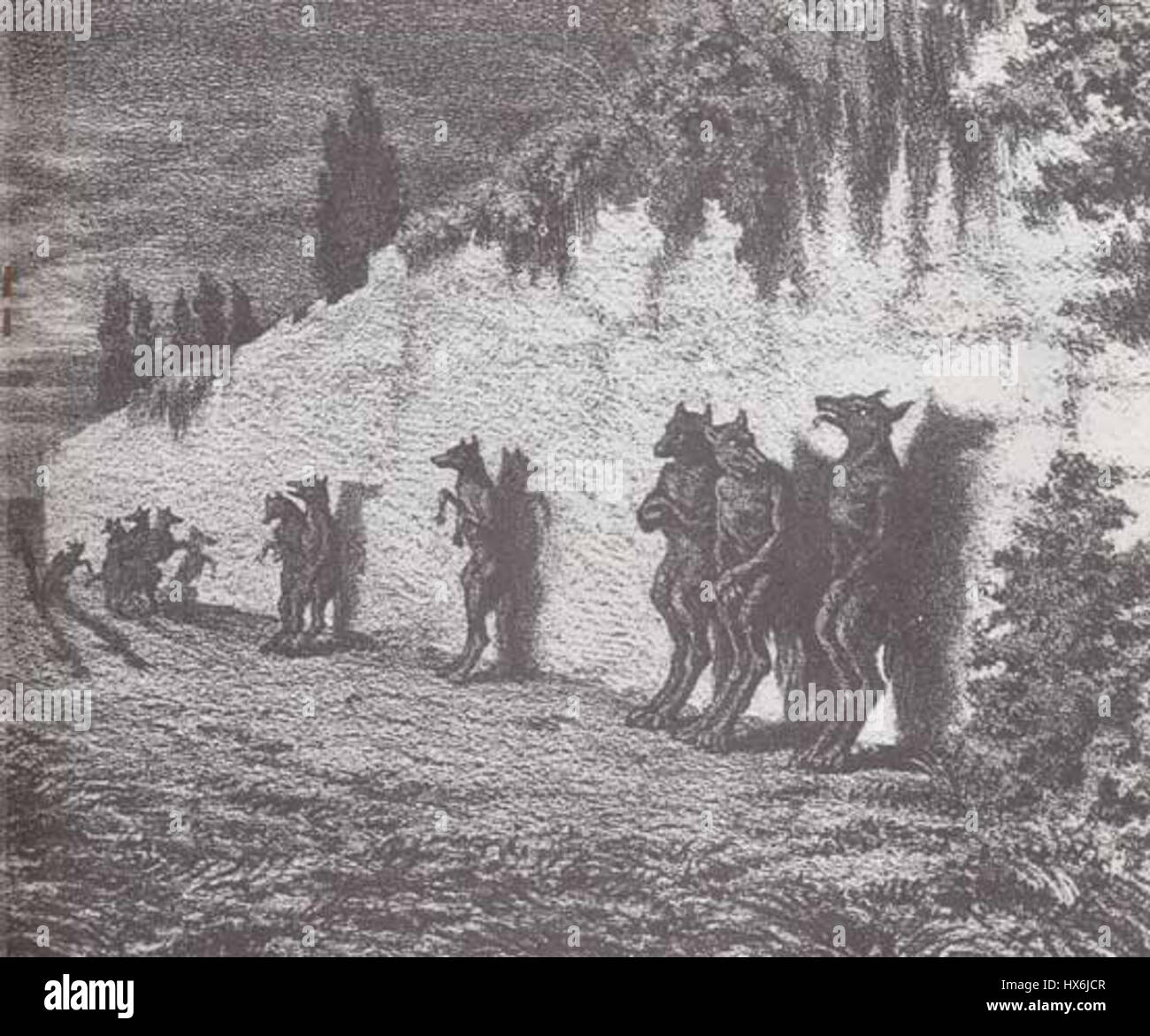 Loup Garou High Resolution Stock Photography And Images Alamy