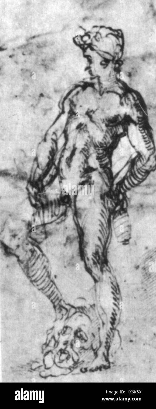 Michelangelo, studio per il david de rohan, louvre Stock Photo Alamy