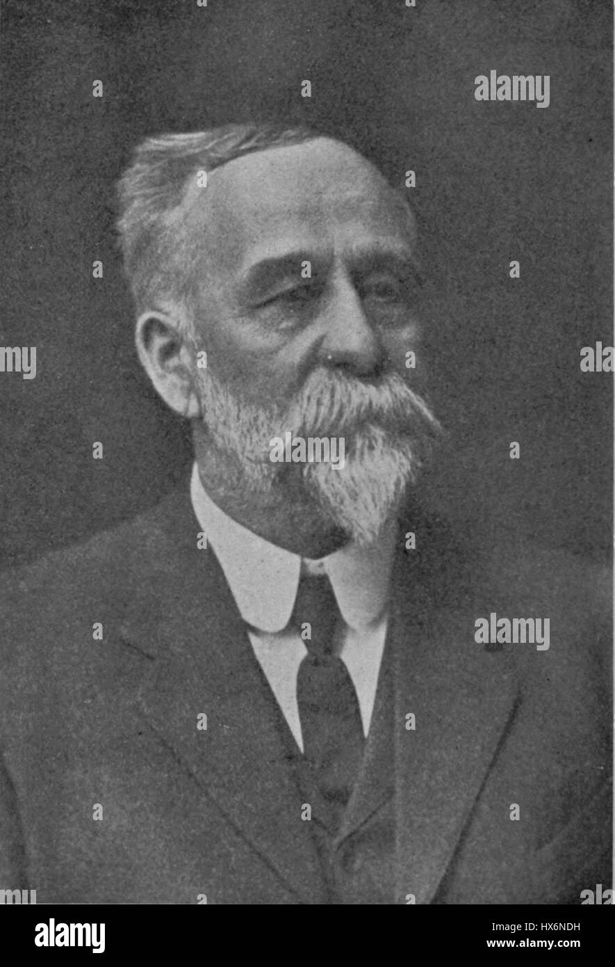 Bessey Classification System American botanical studies Black and White Stock Photos & Images - Alamy