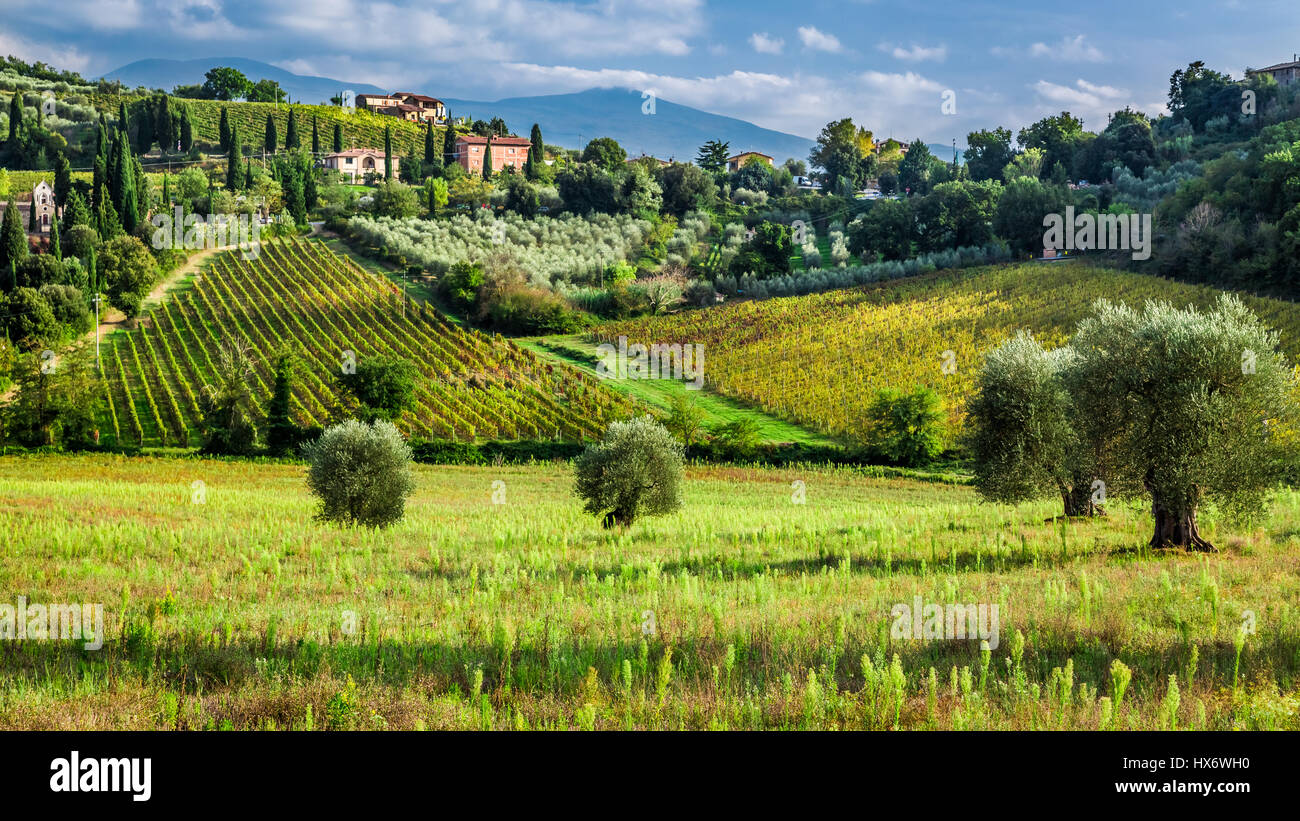 Small village in tuscany hi res stock photography and images Alamy