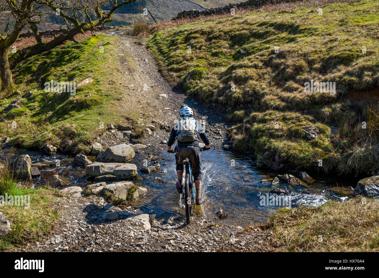 Black Beck High Resolution Stock Photography and Images - Alamy