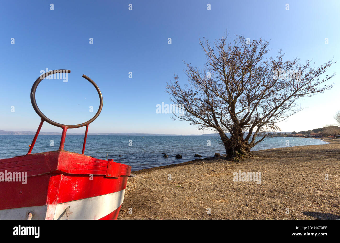 A colorful boat and an oak tree along the shore of Bracciano lake, near Rome, Italy Stock Photo