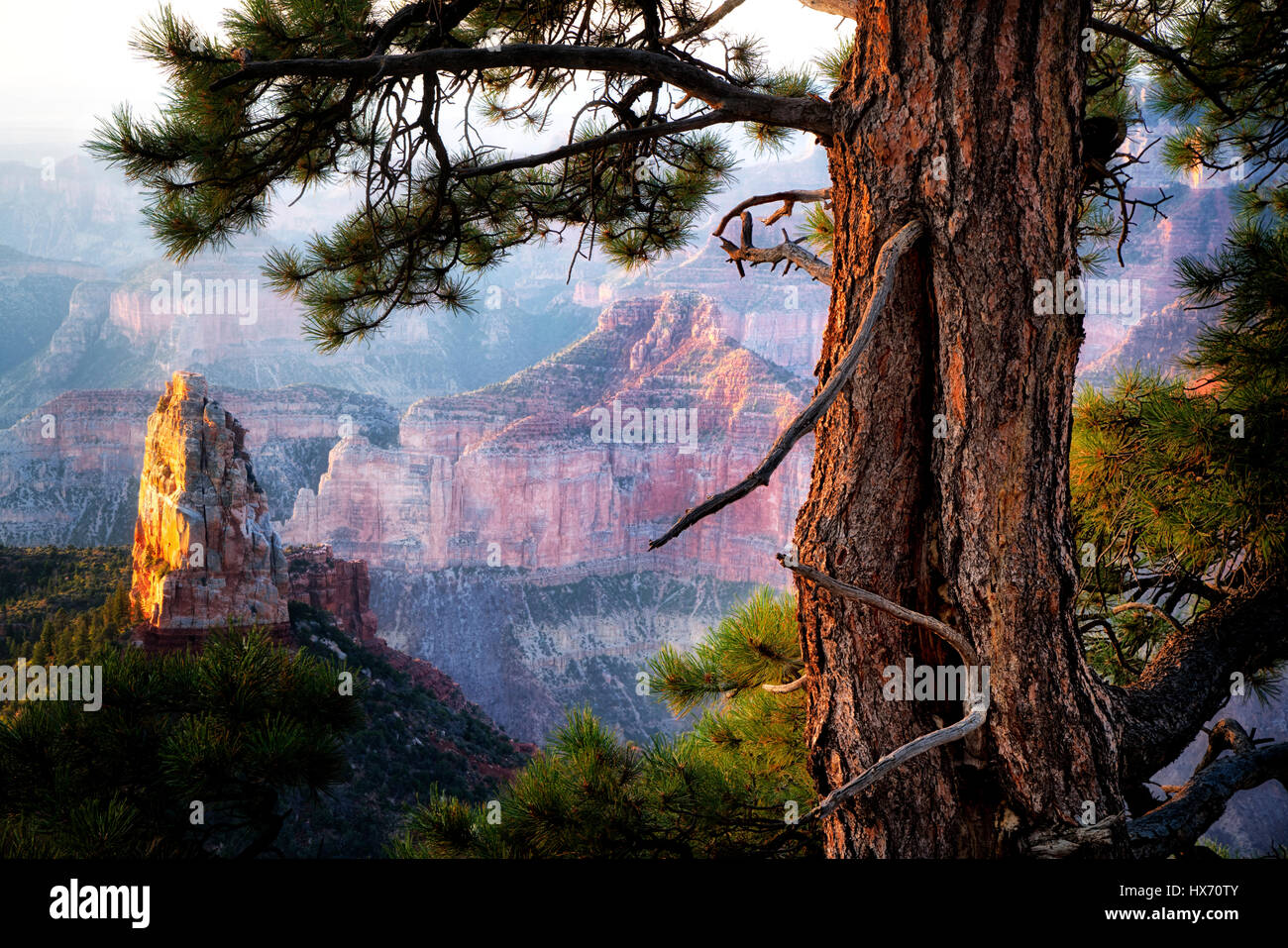 View of Mt. Hayden from Emperial Point. Grand Canyon National Park, Arizona Stock Photo