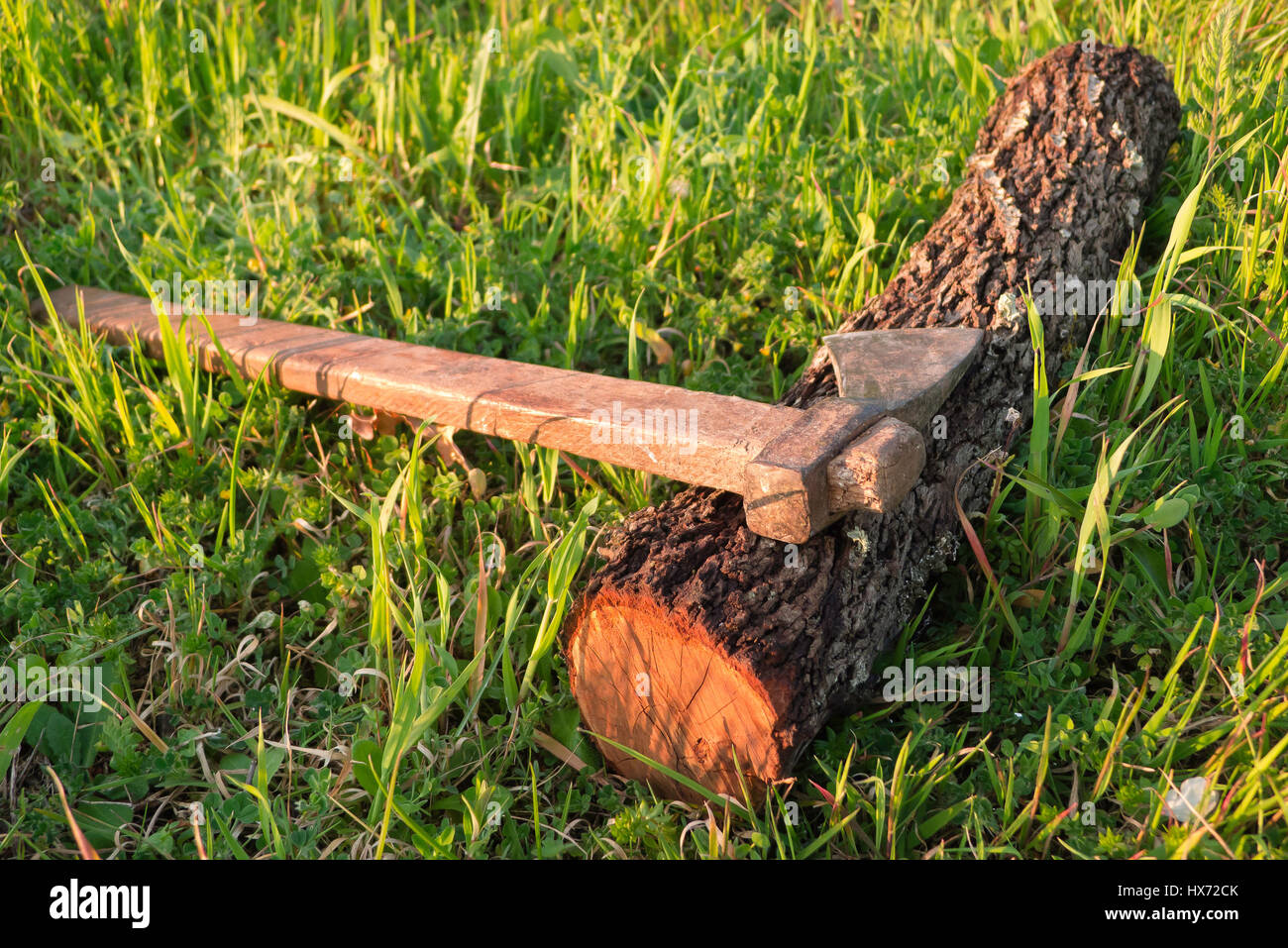 Ax and piece of almond wood. Stock Photo