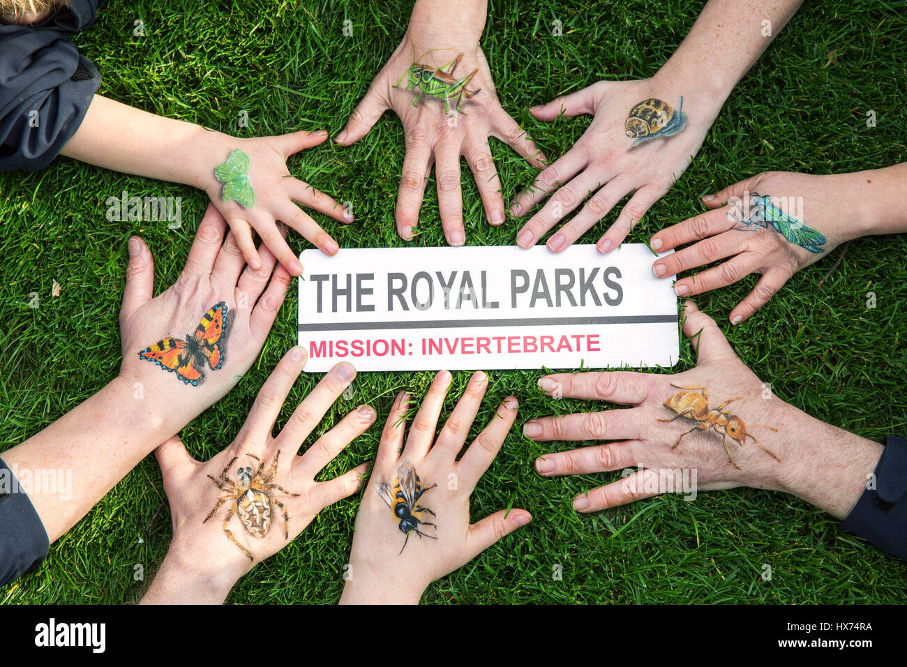 New partnership between royal parks charity hi-res stock photography and  images - Alamy