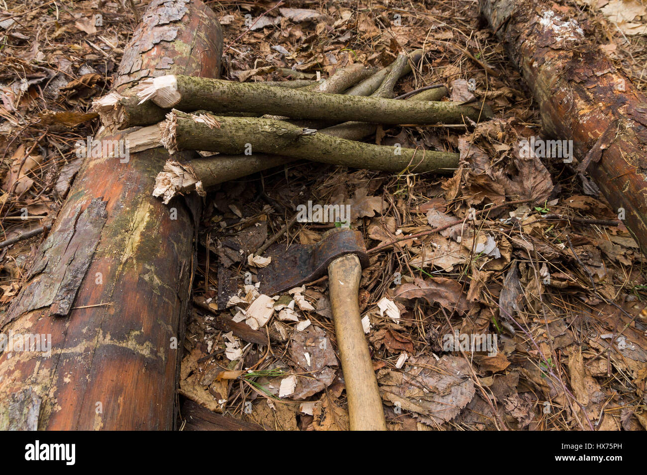 Old man cutting log hi-res stock photography and images - Alamy