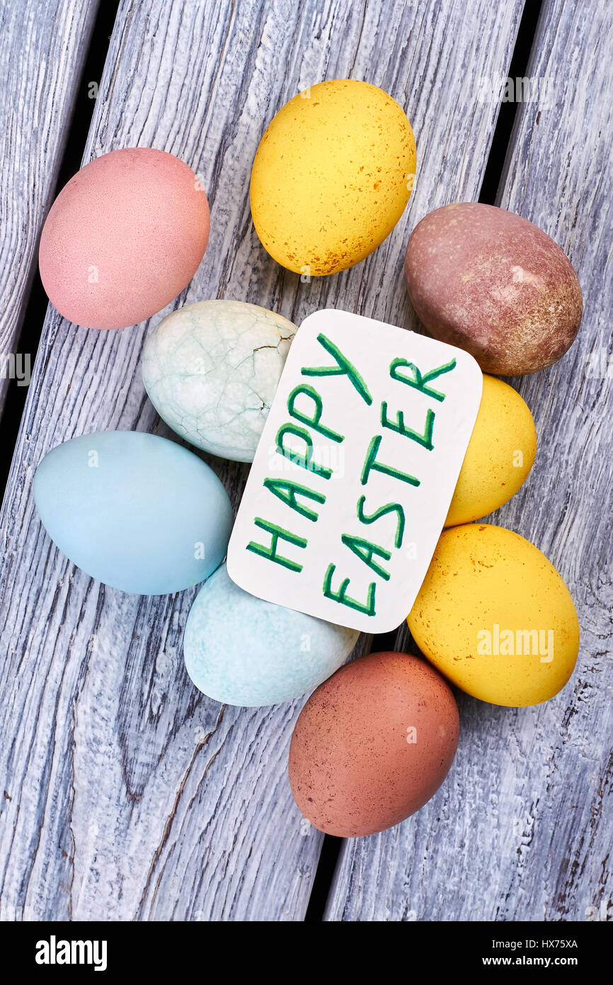 Colored chicken eggs Stock Photo - Alamy