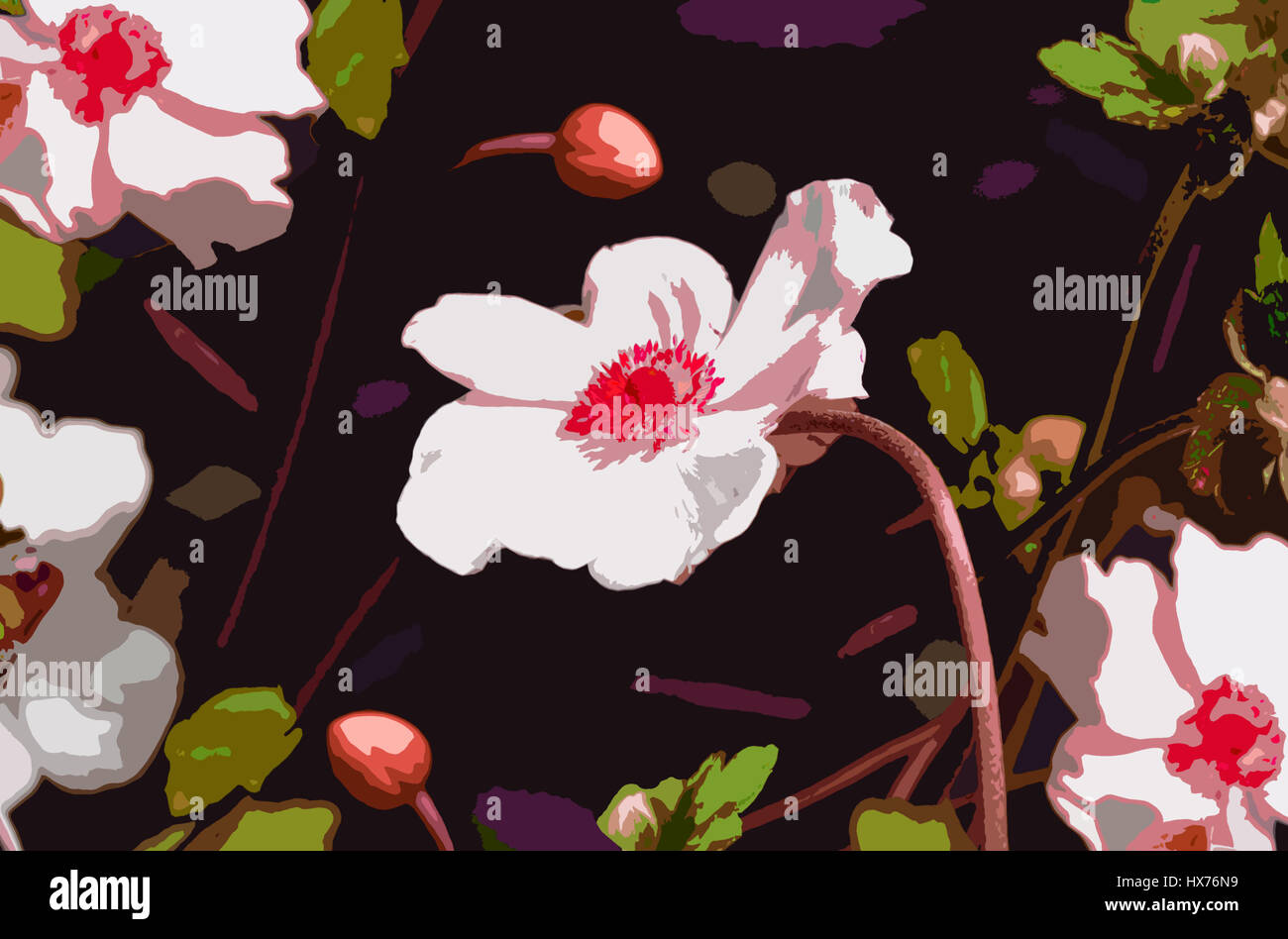 Pop-art style illustration of Anemone flowers and buds on rich background Stock Photo