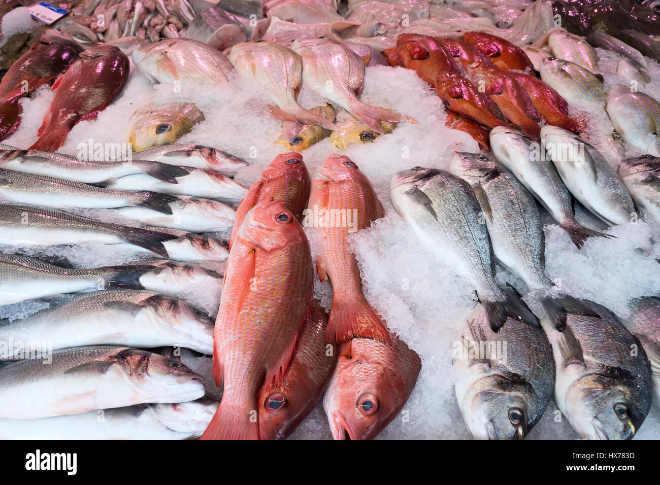 assortment of pelagic fishes at fishmonger Stock Photo