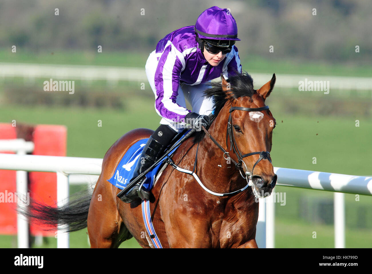 Orderofthegarter and Ana O'Brien win the Irish Stallion Farms E.B.F. Maiden at Naas Racecourse. Stock Photo