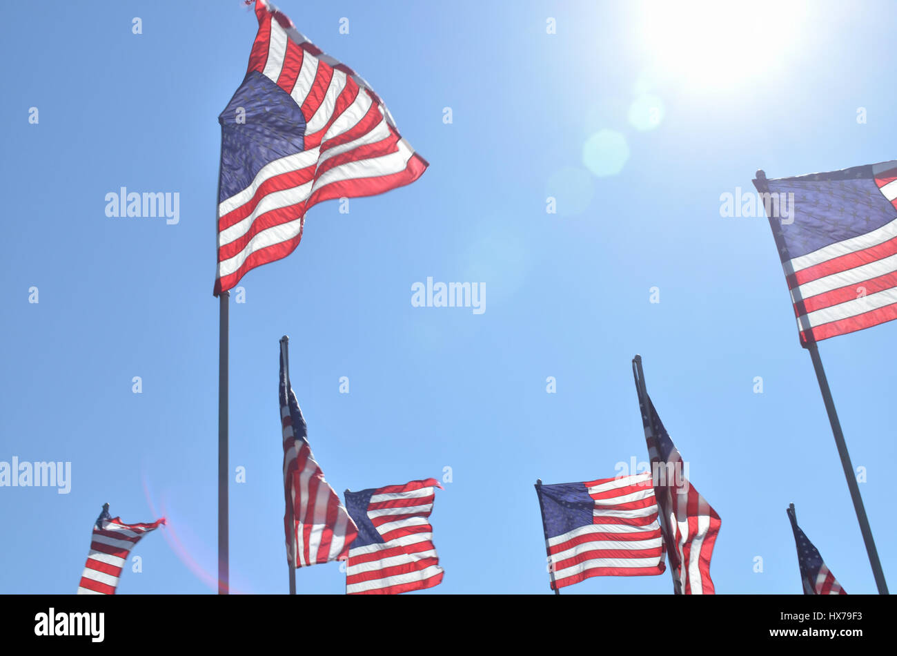 Row american flags on poles hi-res stock photography and images - Alamy