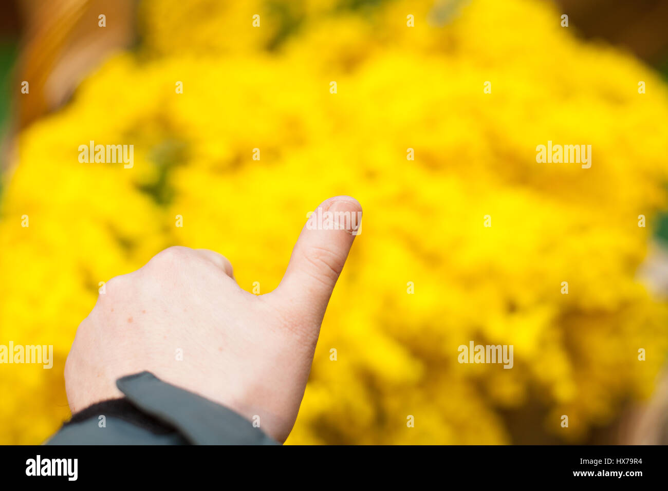 hand thumb up on yellow Stock Photo
