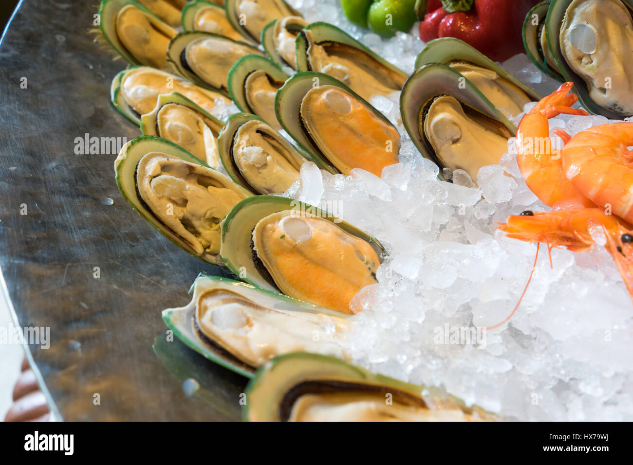 Boiled oyster chilled on ice ready to eat Stock Photo