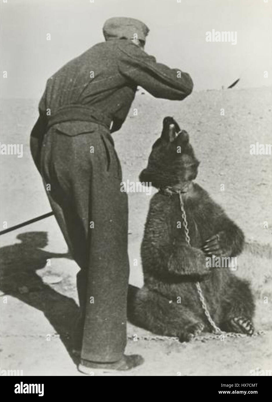 wojtek-the-polish-soldier-in-iran-was-a-bear-who-became-famous-for