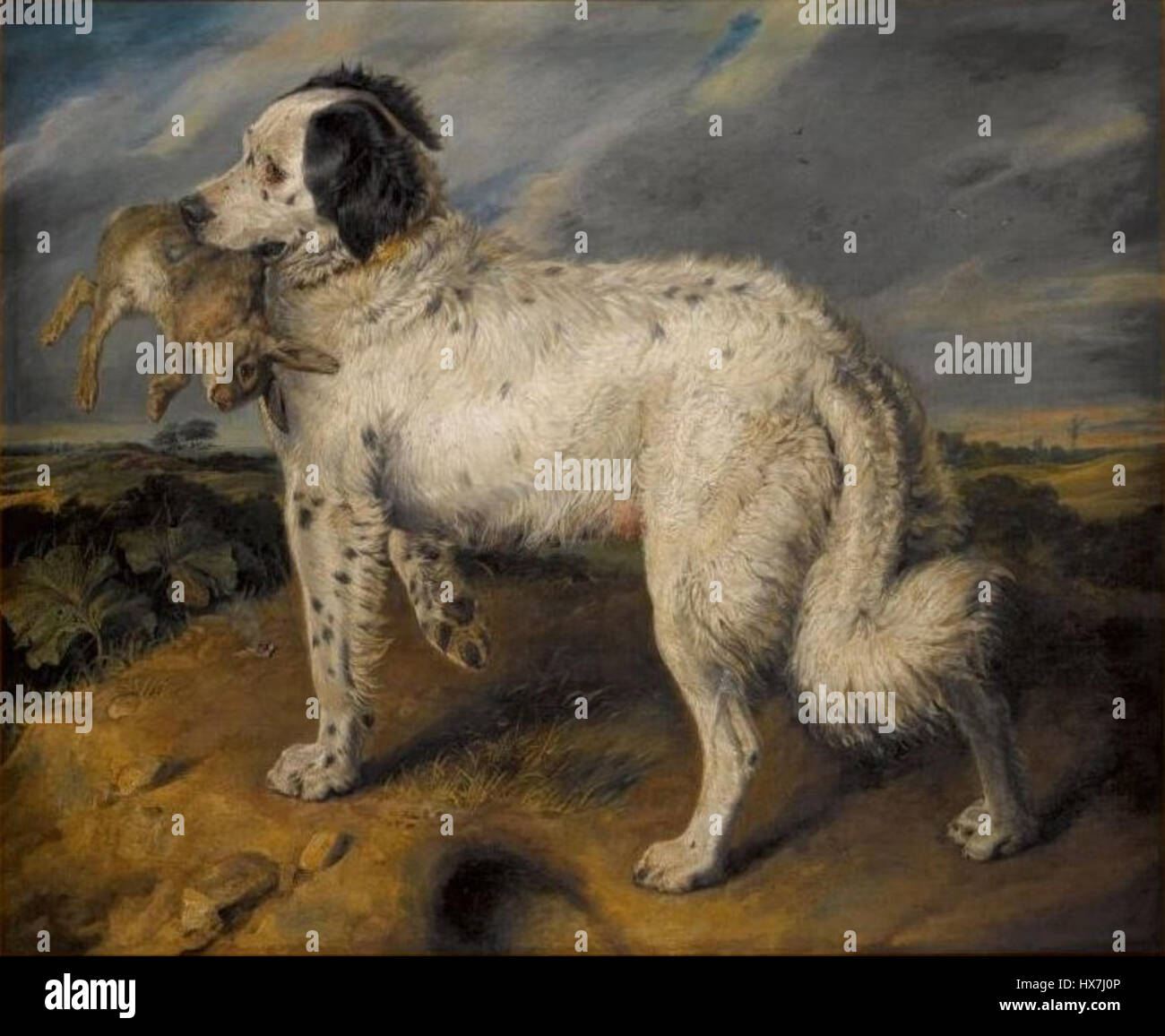 'The Champion; Venus' by Sir Edwin Henry Landseer, a painting featuring a Newfoundland dog, Venus, holding a rabbit. This work reflects Landseer's mastery in animal portraiture and British art. Stock Photo