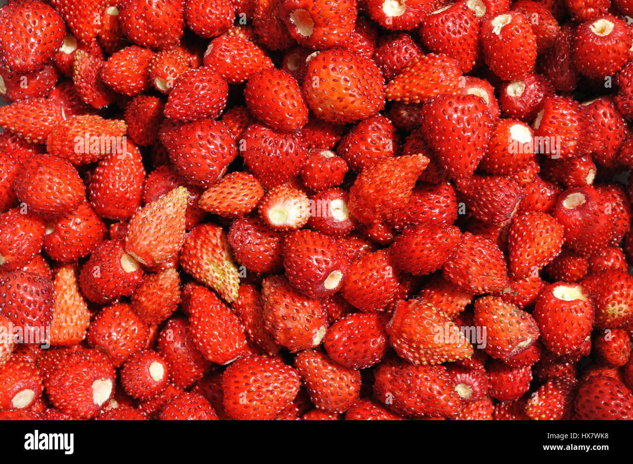 close-up of the stack of fresh wild strawberry Stock Photo - Alamy
