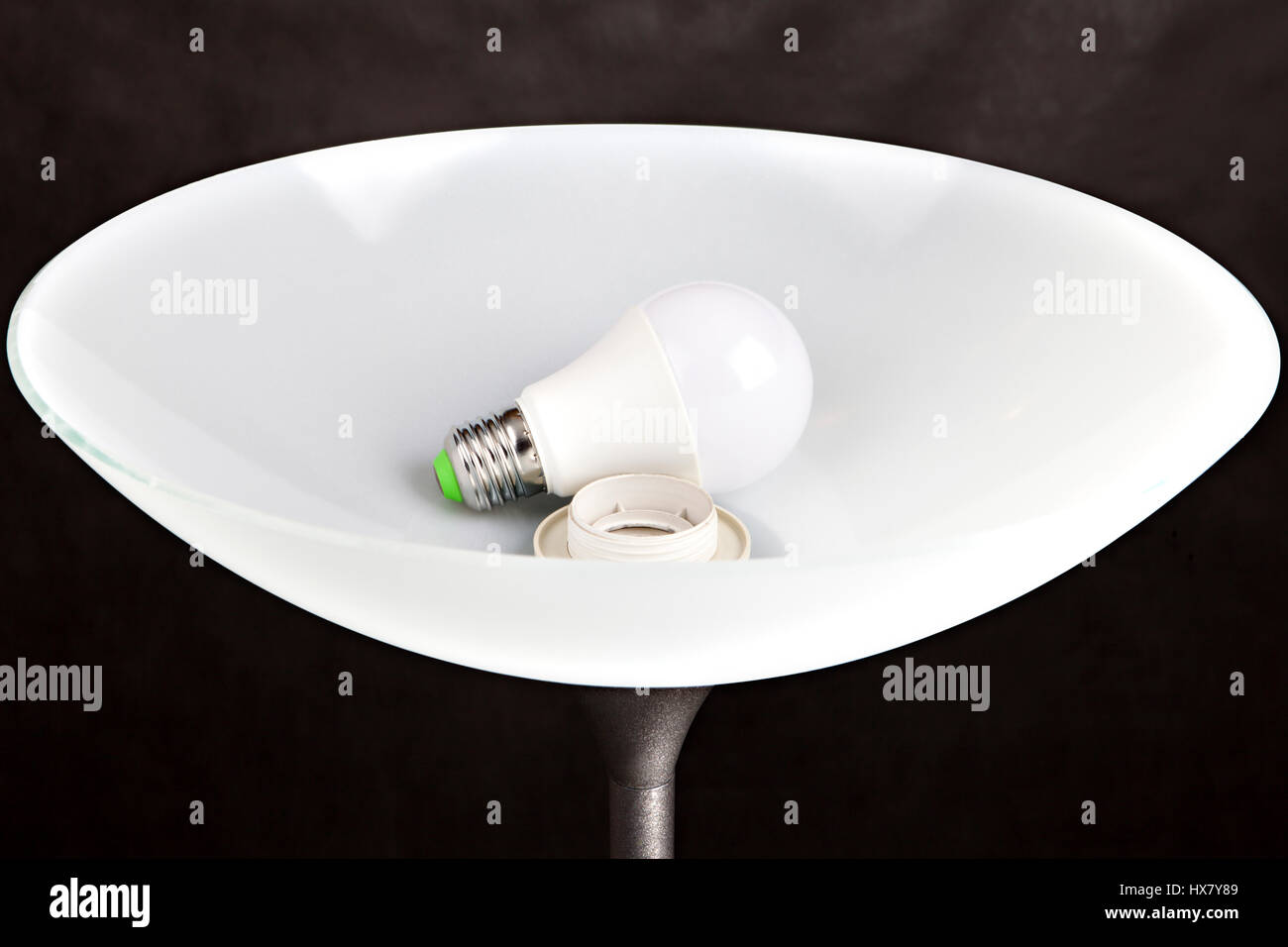 Gallery image with a fresh perspective