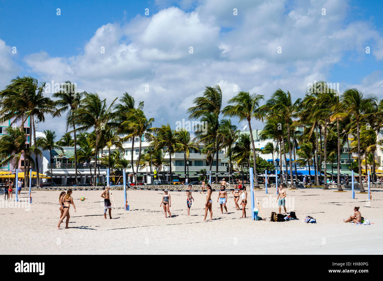Miami Beach Florida,Ocean Drive,Lummus Park,palm trees,Beach Volley,volleyball court,adult adults man men male,woman women female lady,young adult,bik Stock Photo