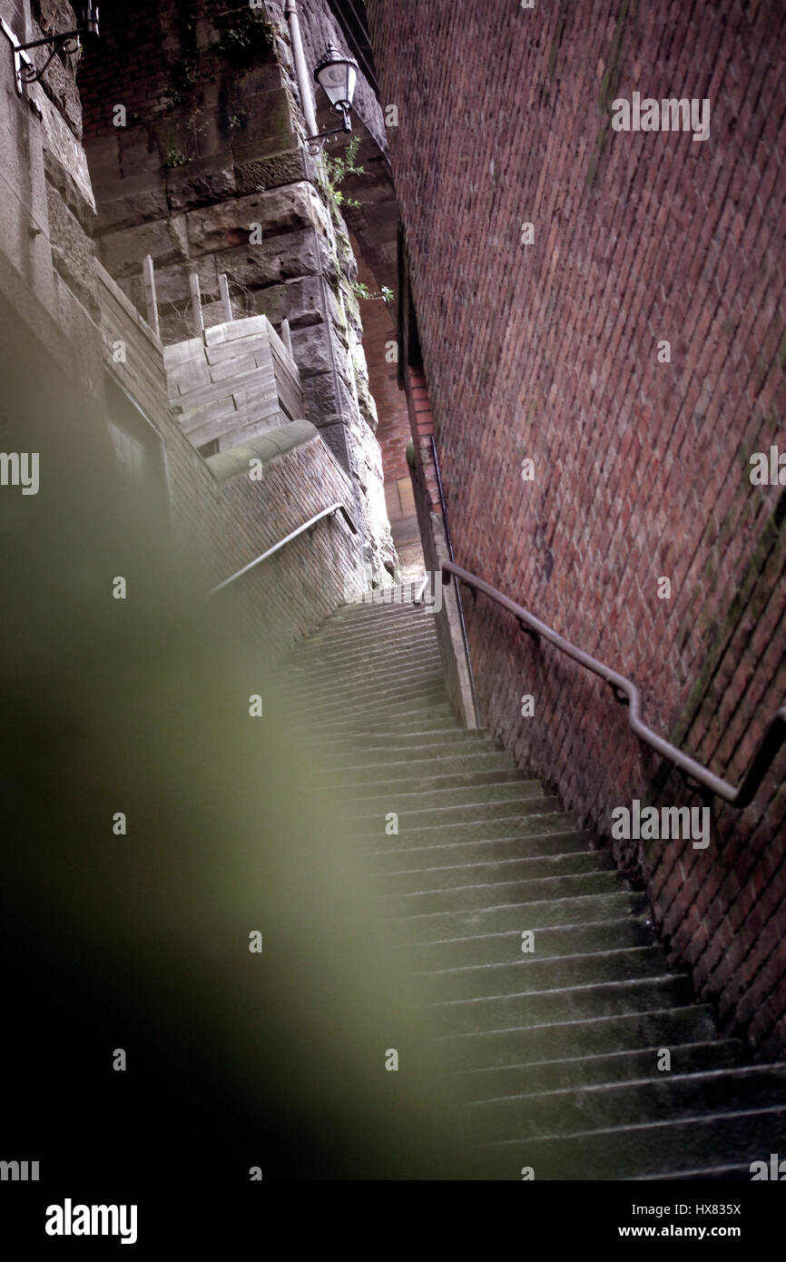 Dog leap stairs newcastle hires stock photography and images Alamy