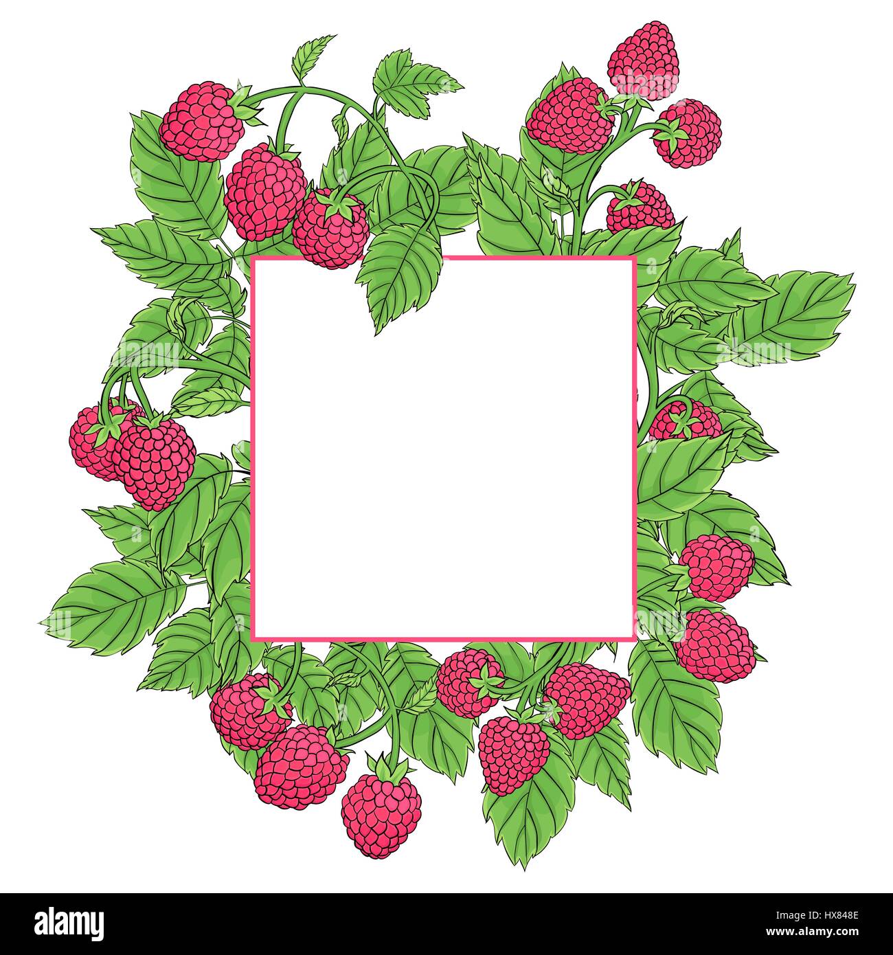 Frame made of raspberries on the branches on a white background ...