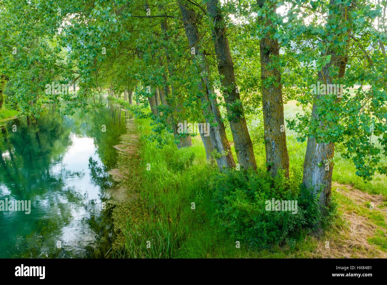 Green Spring seasonal coastal River Gacka in Lika Croatia Stock Photo