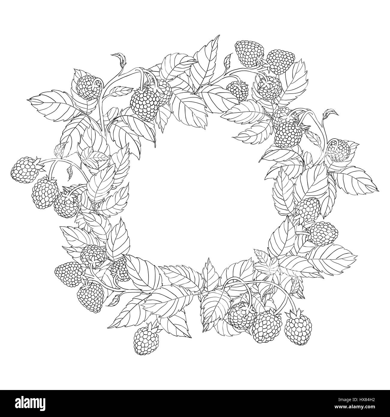 Round wreath or frame of raspberry with leaves and berries on a white background. Branches painted dark tench and filled with white. Isolated. Stock Vector