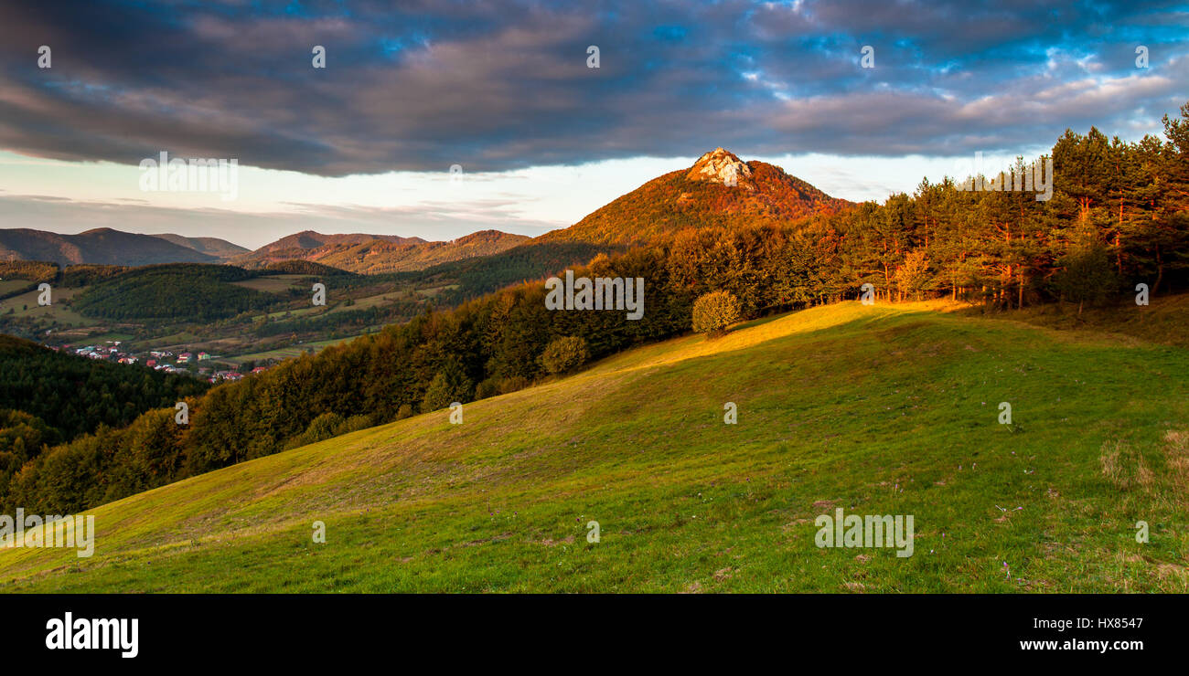 This location is called Strazovske vrchy. It's less know location in Slovakia with many bears Stock Photo