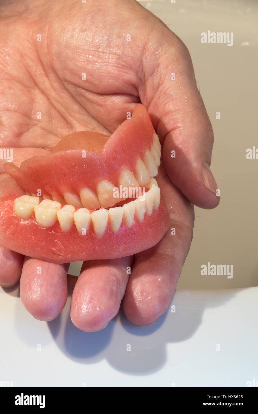 Full Set of Dentures in Senior Man's Hand Stock Photo Alamy