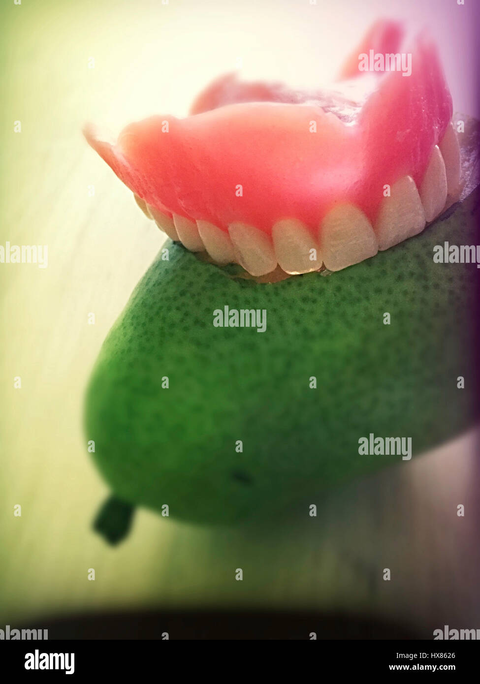 Upper Denture Plate Embedded in a Fresh Pear Stock Photo