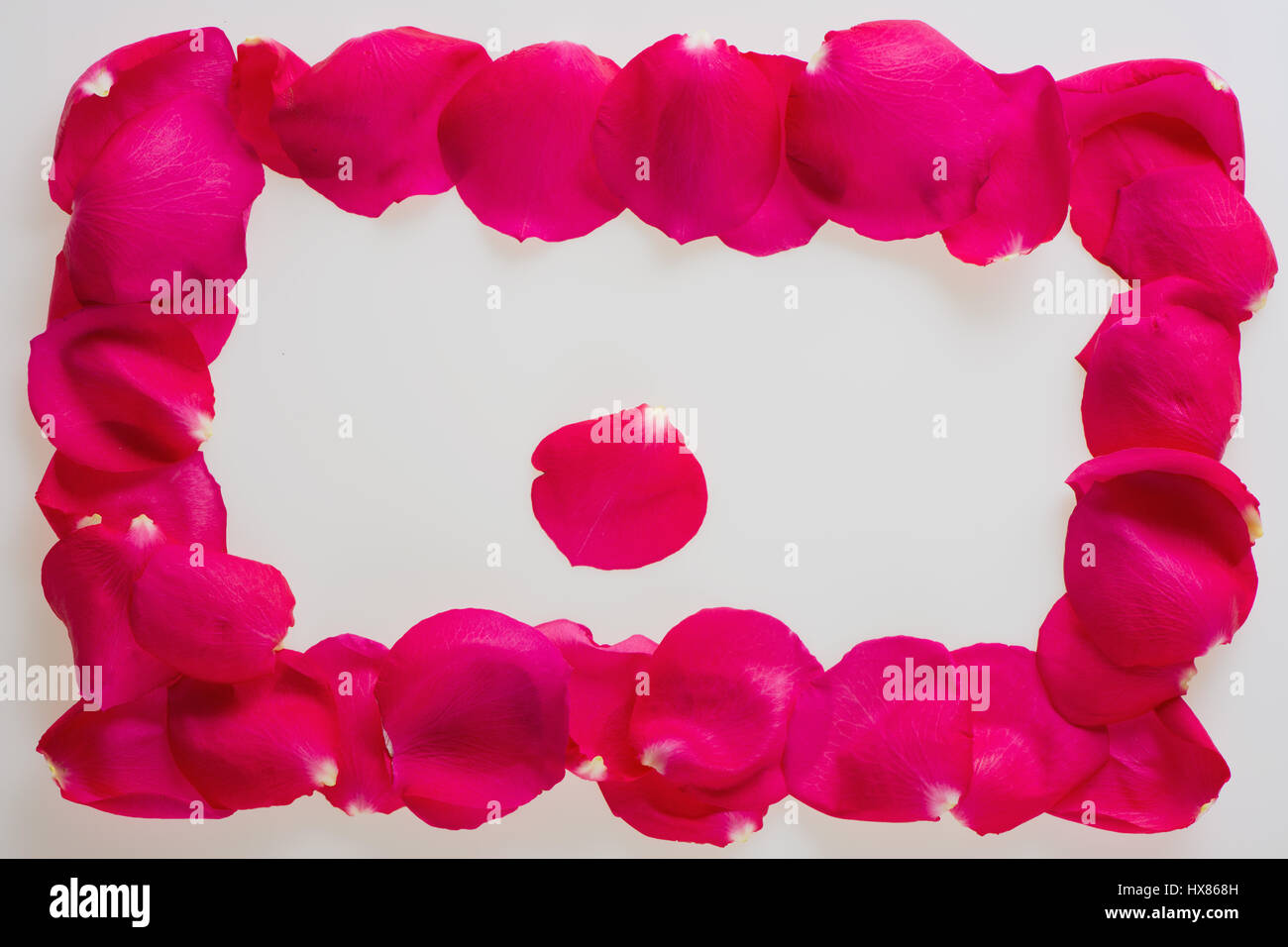 Background in the form of a frame from petals of magnificent pink roses Stock Photo