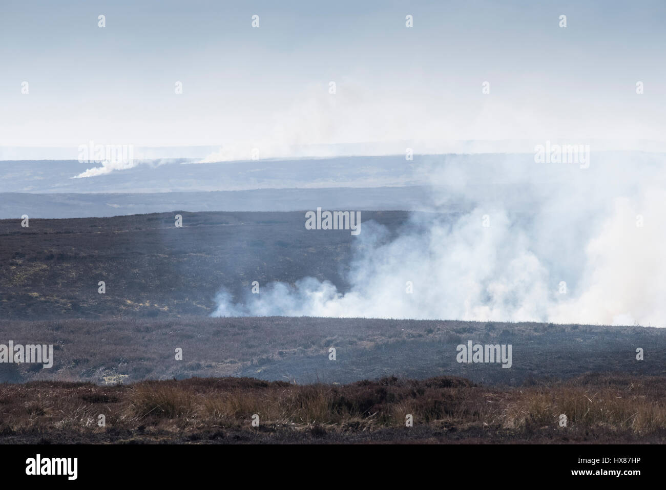Various heather burning sites as seen across the grouse moors of North Yorkshire on a dry March day. View from How Tallon, County Durham Stock Photo