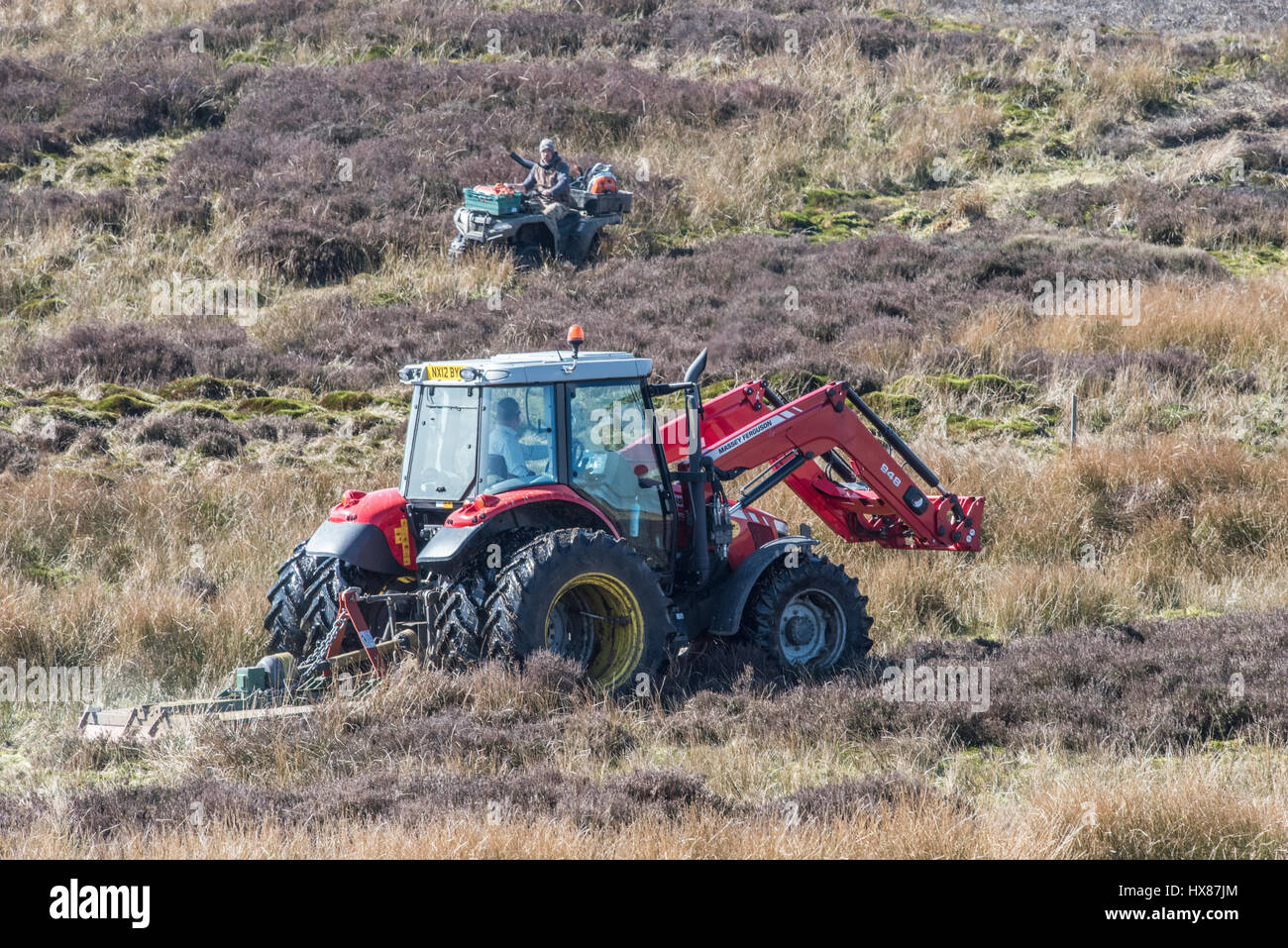 Tractor flail cutting heather Stock Photo