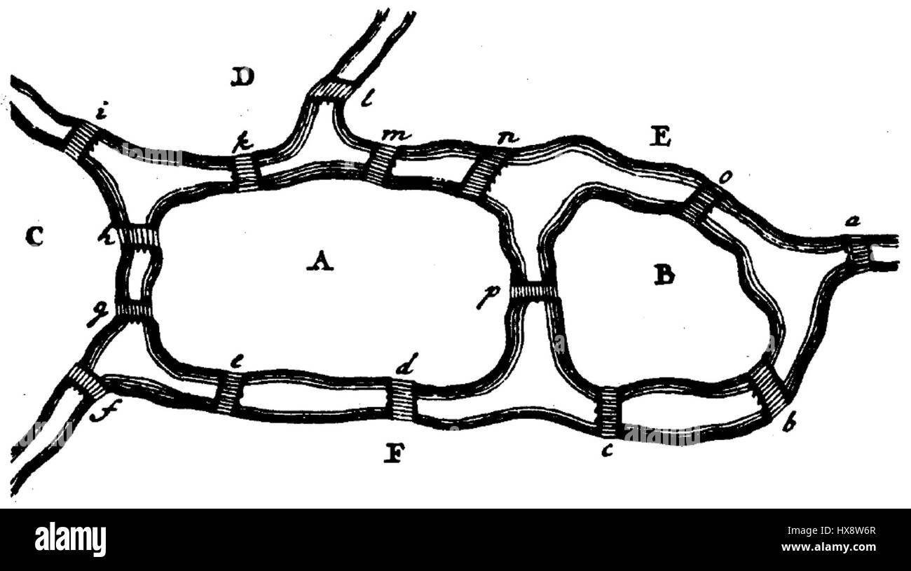 *The Seven Bridges of Königsberg* refers to a famous mathematical problem solved by Euler in 1736. This illustration shows the layout of the bridges in Königsberg, now Kaliningrad, and their relevance to graph theory. Stock Photo