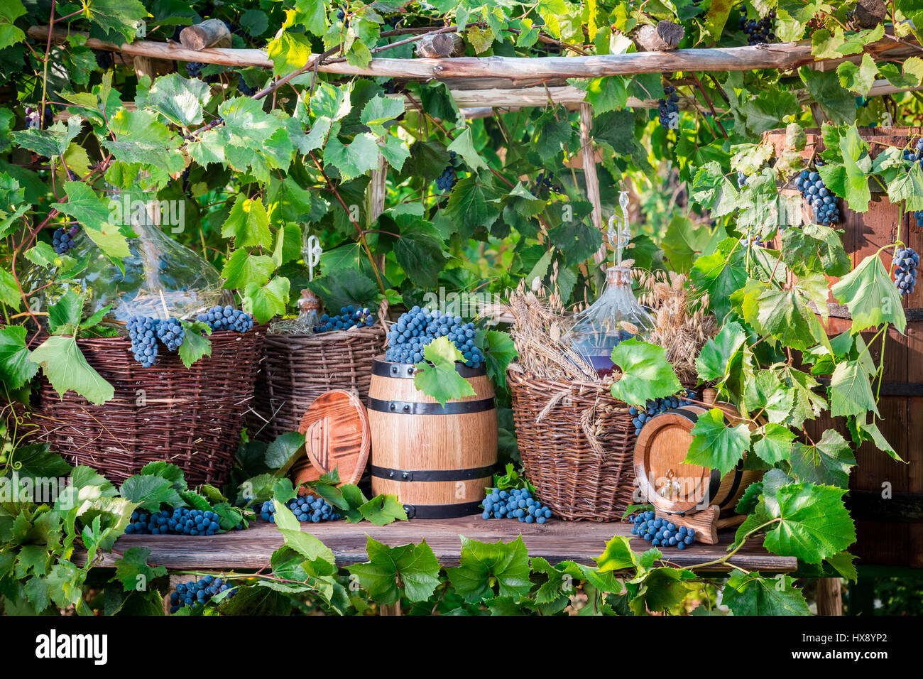 Old fashioned demijohn hi-res stock photography and images - Alamy