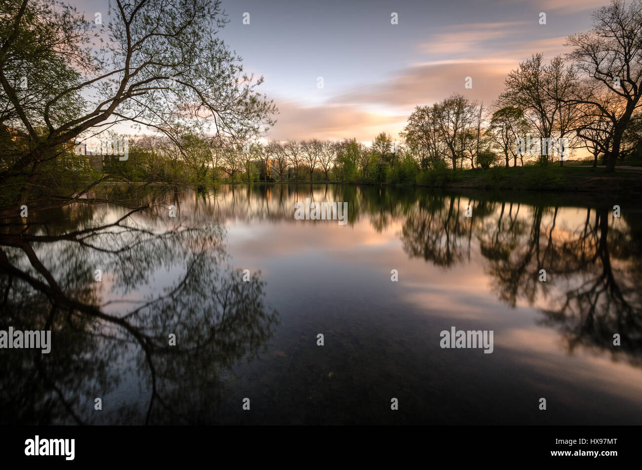 Hampstead Heath Pond, London, England Stock Photo Alamy