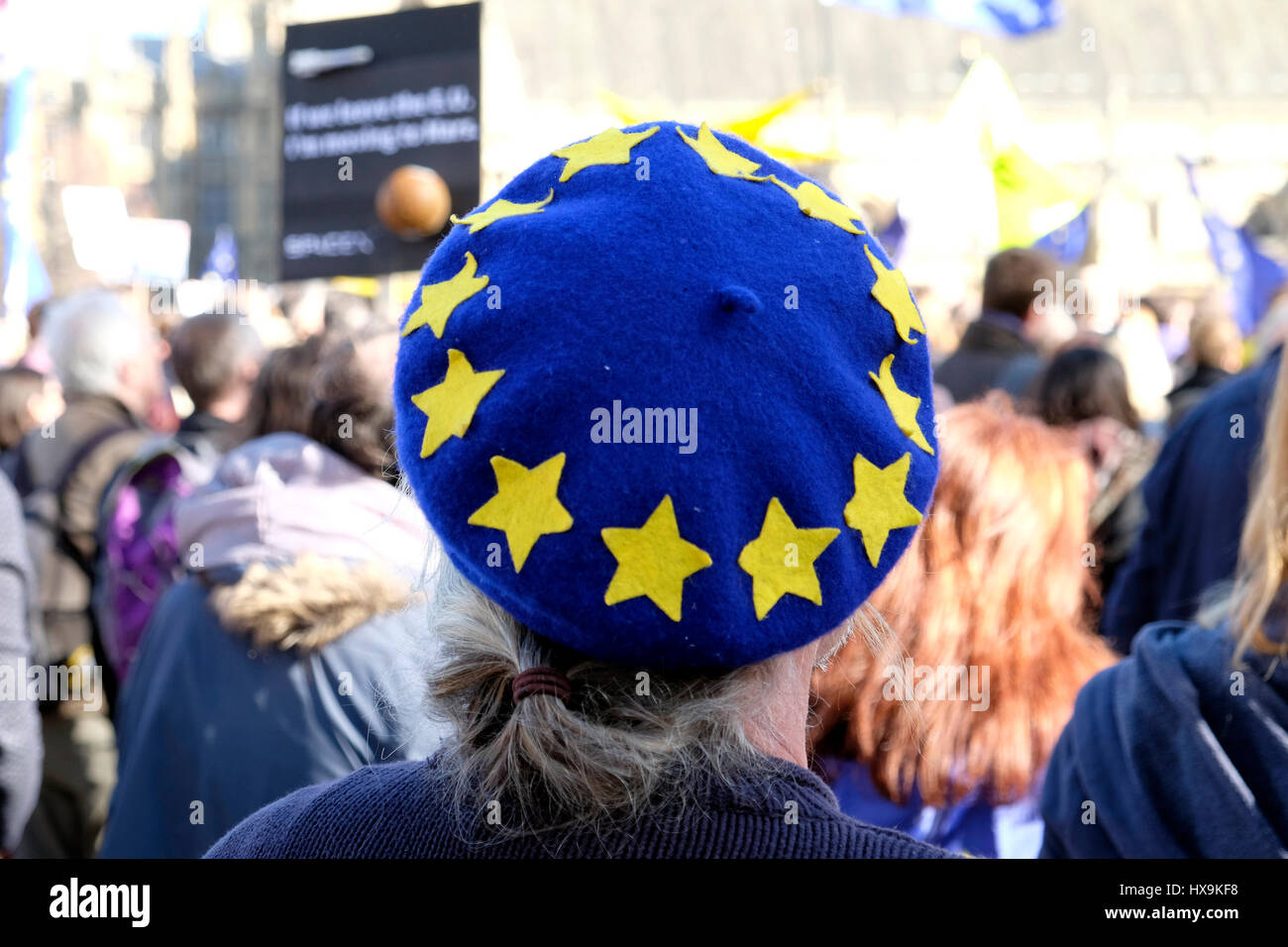 A rear view of a man wearing an EU beret,during a protest against Brexit, Westminster, London. Stock Photo