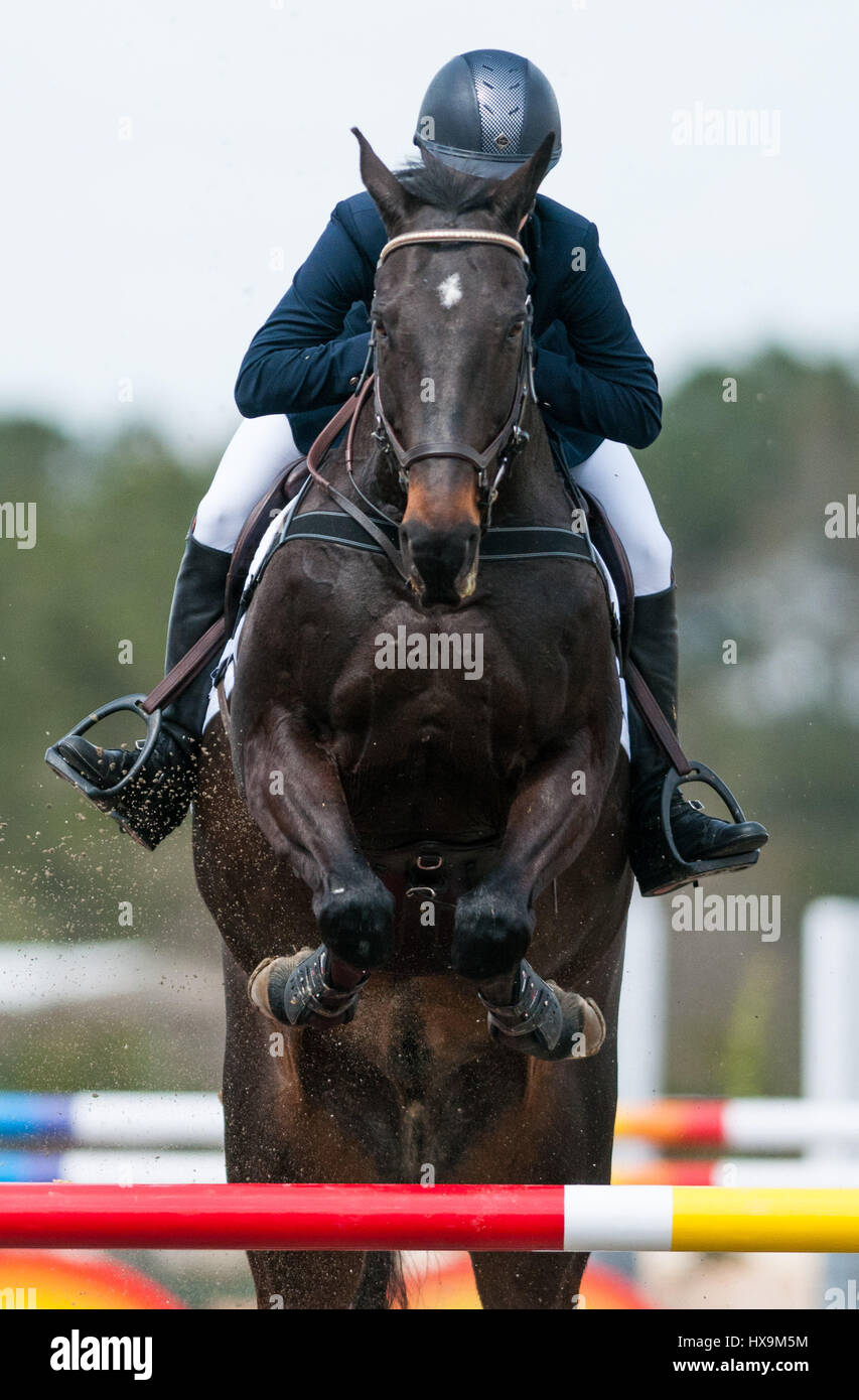 Raeford, North Carolina, US. 25th Mar, 2017. A rider and his horse compete in stadium jumping at