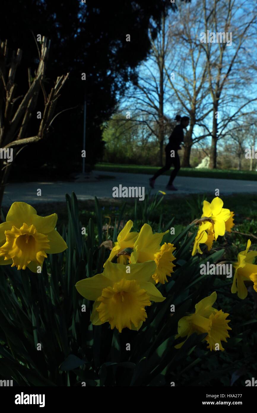 Frankfurt, Germany. 26th Mar, 2017. A woman enjoys the warm spring in ...