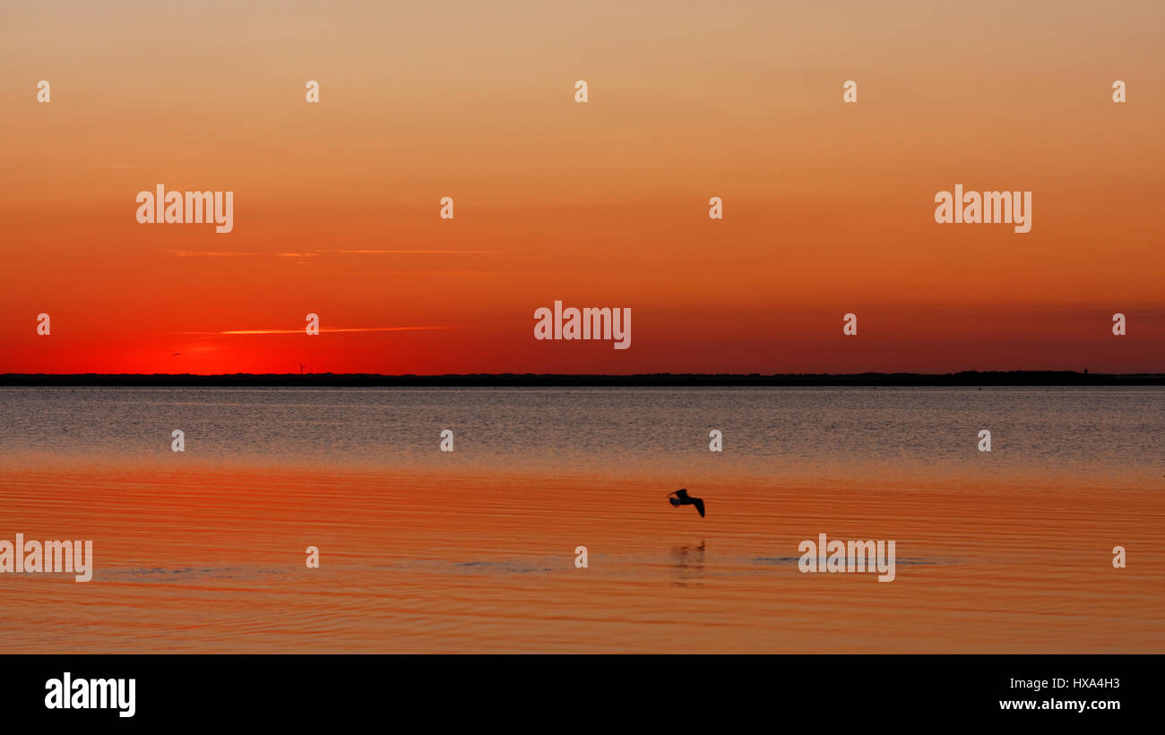 Quiet sea poster hi-res stock photography and images - Alamy