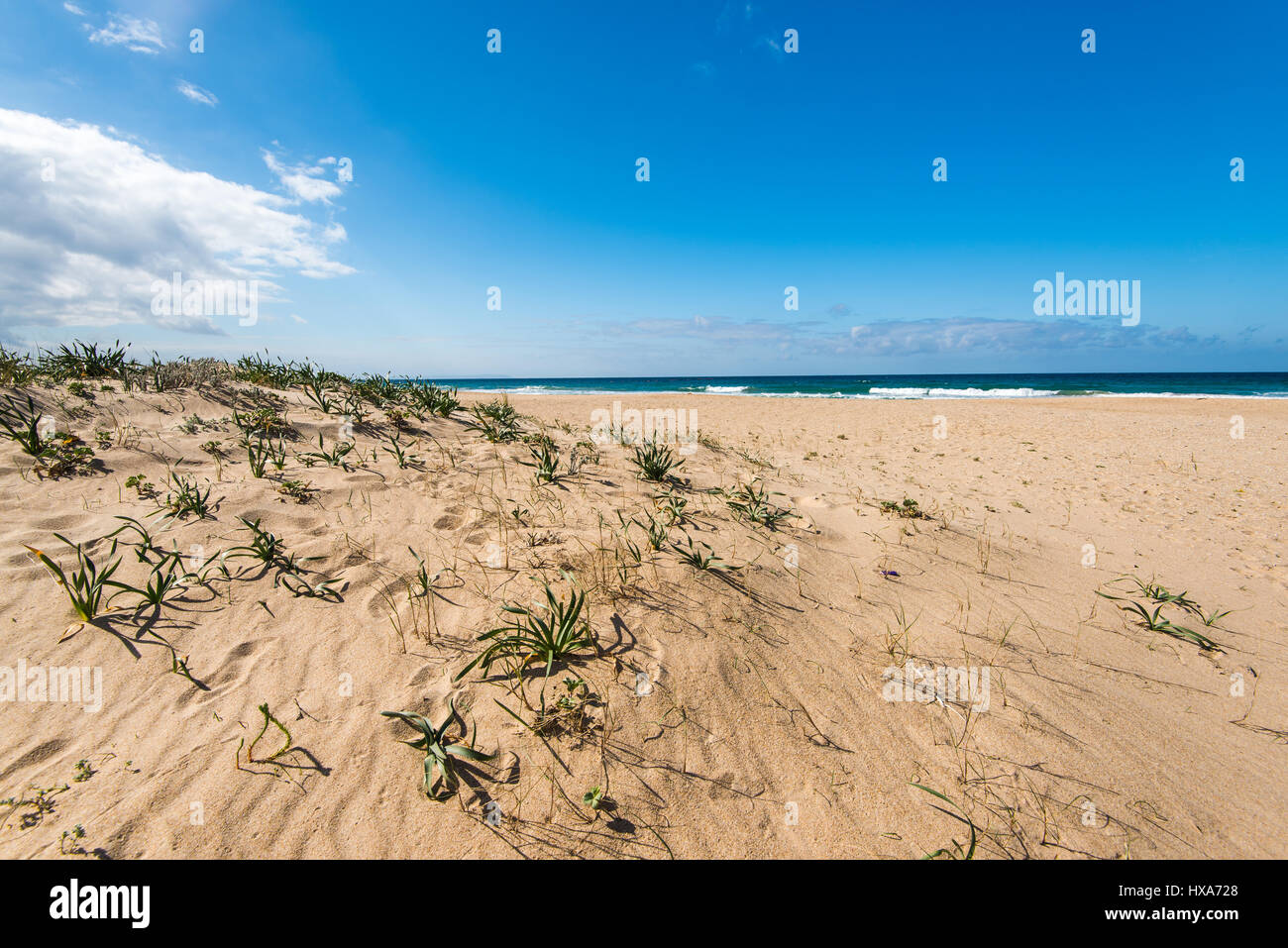 Dunes in Zahara de los Atunes natural reserve, Spain Stock Photo