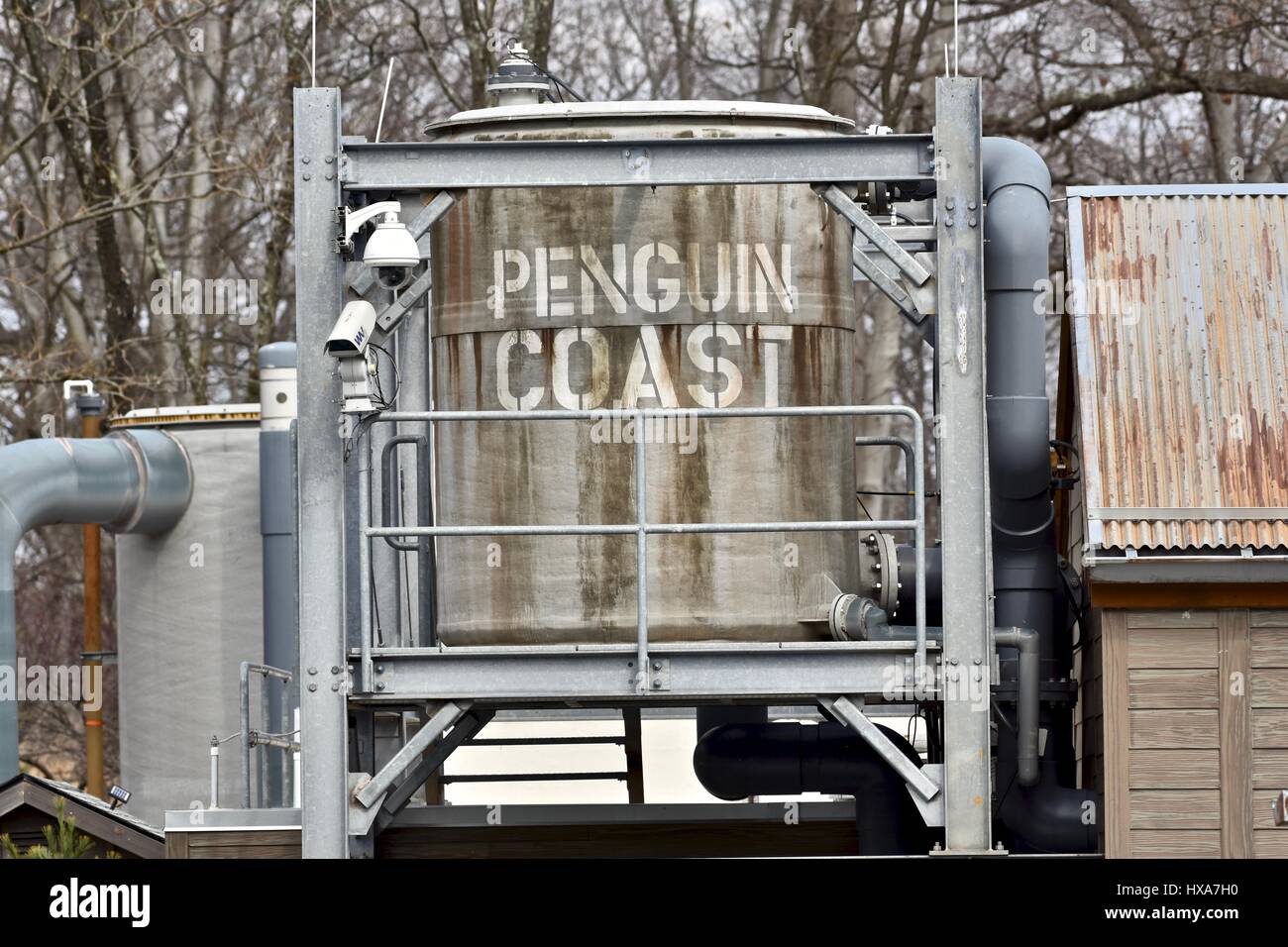 Penguin coast structure at the Maryland zoo Stock Photo - Alamy