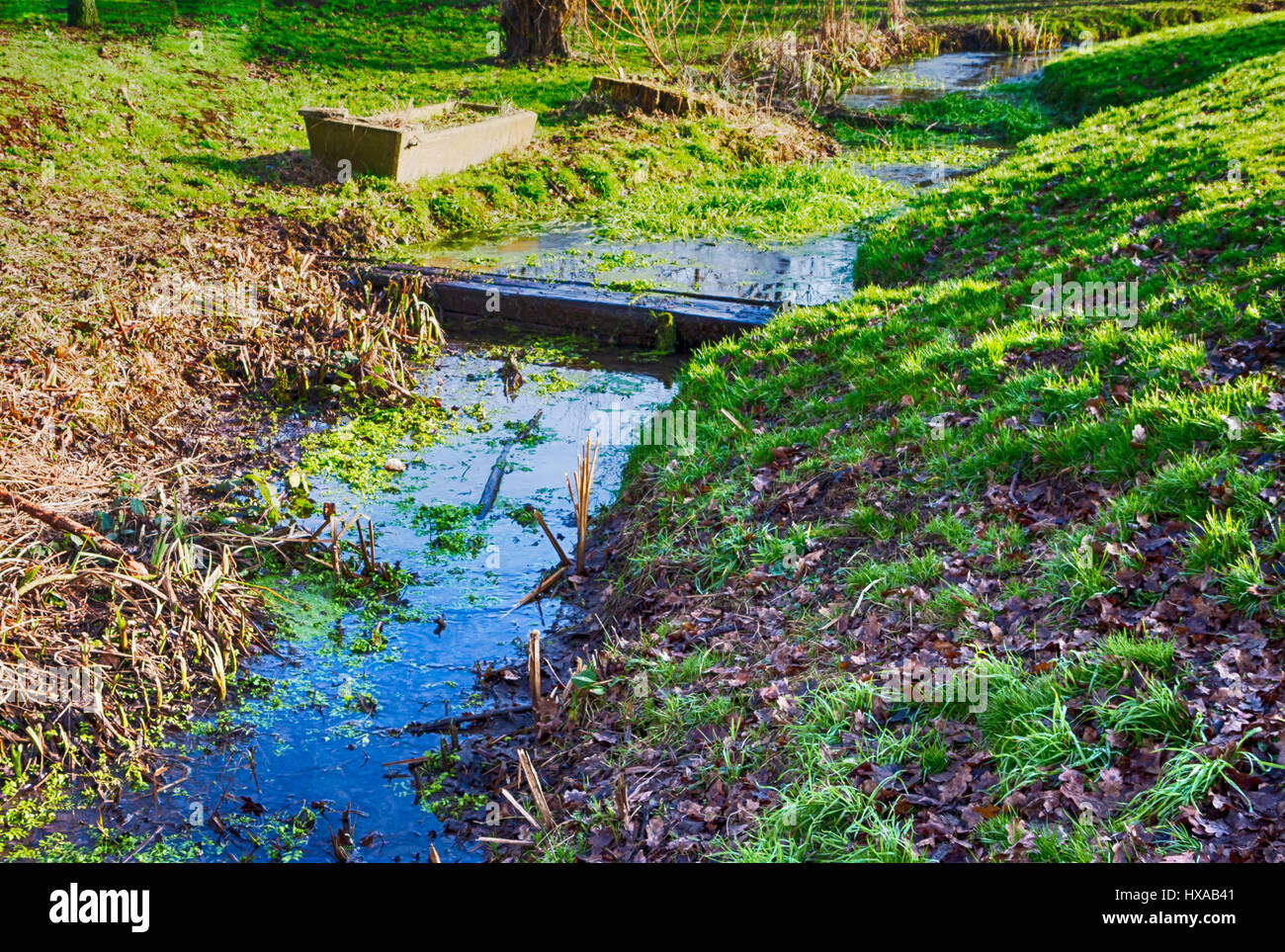 Parks with rivers near me