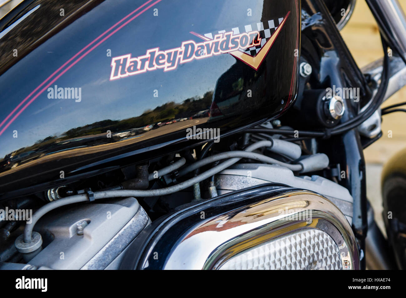 Fuel tank of a Harley Davidson motorbike or motorcycle. Stock Photo
